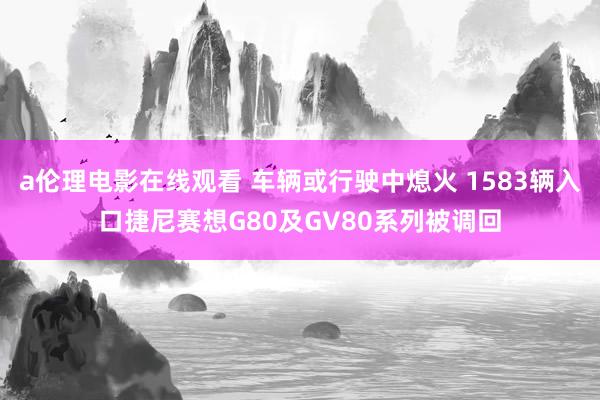 a伦理电影在线观看 车辆或行驶中熄火 1583辆入口捷尼赛想G80及GV80系列被调回