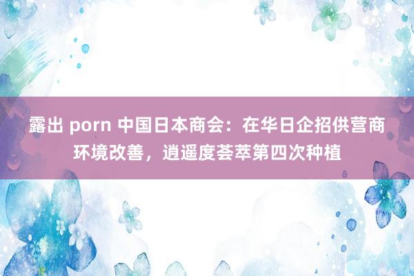 露出 porn 中国日本商会：在华日企招供营商环境改善，逍遥度荟萃第四次种植