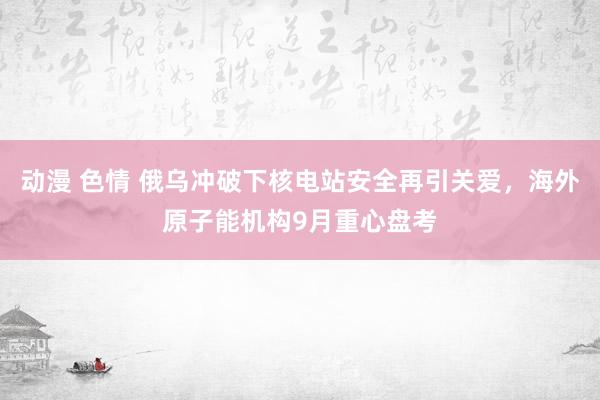 动漫 色情 俄乌冲破下核电站安全再引关爱，海外原子能机构9月重心盘考