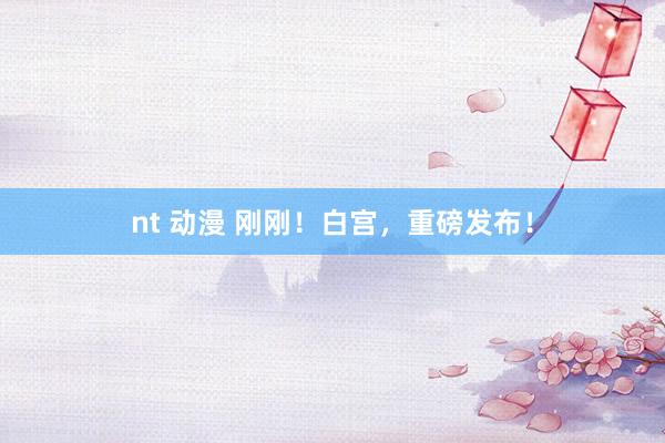 nt 动漫 刚刚！白宫，重磅发布！