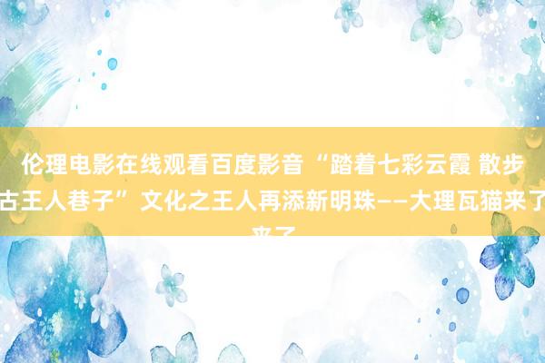 伦理电影在线观看百度影音 “踏着七彩云霞 散步古王人巷子” 文化之王人再添新明珠——大理瓦猫来了