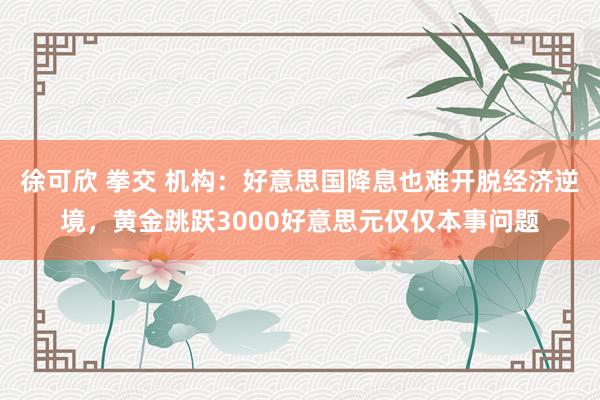 徐可欣 拳交 机构：好意思国降息也难开脱经济逆境，黄金跳跃3000好意思元仅仅本事问题