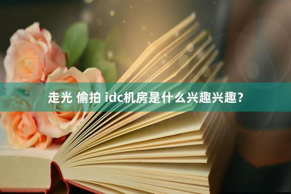 走光 偷拍 idc机房是什么兴趣兴趣？