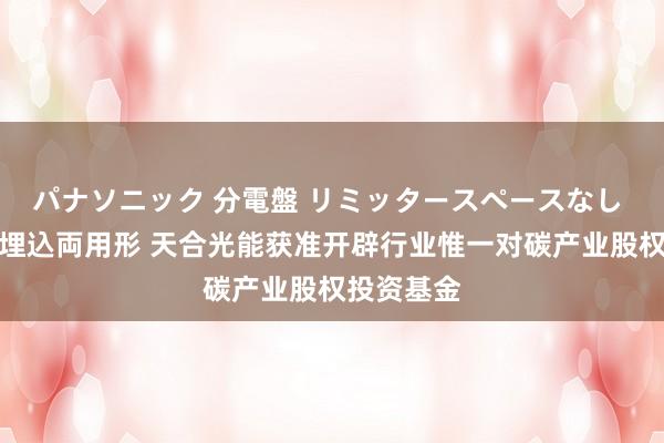 パナソニック 分電盤 リミッタースペースなし 露出・半埋込両用形 天合光能获准开辟行业惟一对碳产业股权投资基金