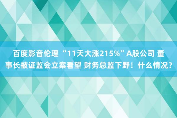 百度影音伦理 “11天大涨215%”A股公司 董事长被证监会立案看望 财务总监下野！什么情况？