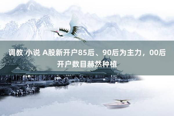 调教 小说 A股新开户85后、90后为主力，00后开户数目赫然种植