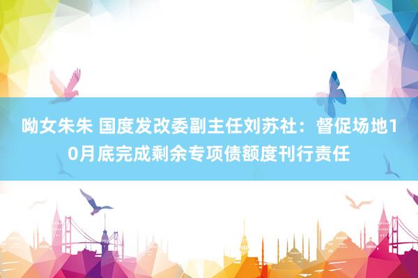 呦女朱朱 国度发改委副主任刘苏社：督促场地10月底完成剩余专项债额度刊行责任