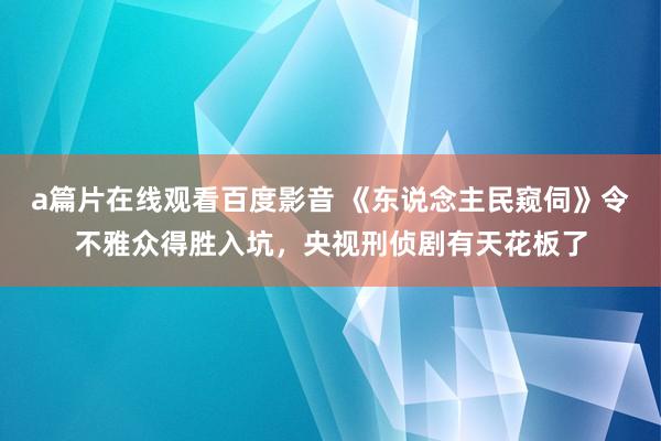 a篇片在线观看百度影音 《东说念主民窥伺》令不雅众得胜入坑，央视刑侦剧有天花板了