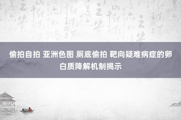 偷拍自拍 亚洲色图 厕底偷拍 靶向疑难病症的卵白质降解机制揭示