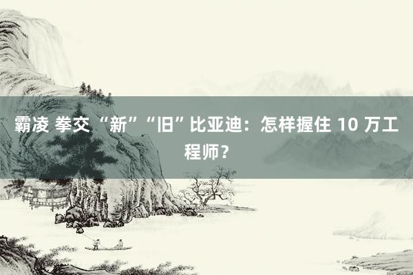 霸凌 拳交 “新”“旧”比亚迪：怎样握住 10 万工程师？