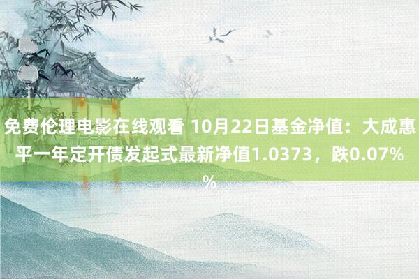 免费伦理电影在线观看 10月22日基金净值：大成惠平一年定开债发起式最新净值1.0373，跌0.07%