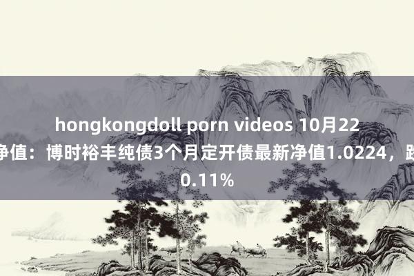 hongkongdoll porn videos 10月22日基金净值：博时裕丰纯债3个月定开债最新净值1.0224，跌0.11%