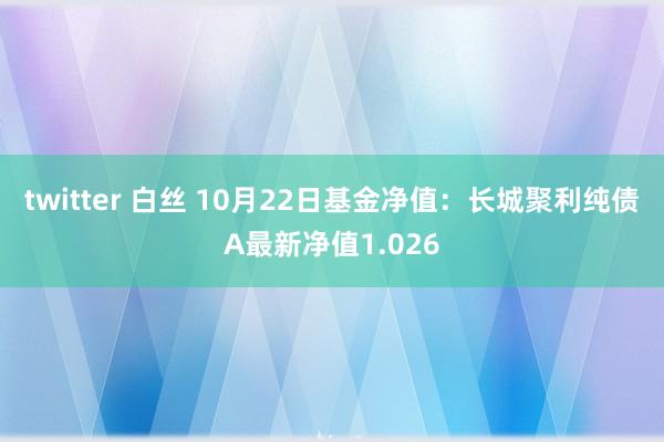 twitter 白丝 10月22日基金净值：长城聚利纯债A最新净值1.026