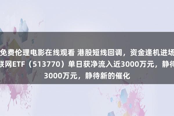 免费伦理电影在线观看 港股短线回调，资金逢机进场，港股互联网ETF（513770）单日获净流入近3000万元，静待新的催化