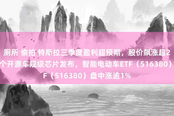 厕所 偷拍 特斯拉三季度盈利超预期，股价飙涨超21%！中国首个开源车规级芯片发布，智能电动车ETF（516380）盘中涨逾1%