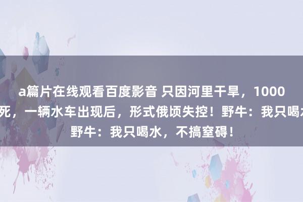 a篇片在线观看百度影音 只因河里干旱，1000头野牛将近渴死，一辆水车出现后，形式俄顷失控！野牛：我只喝水，不搞窒碍！