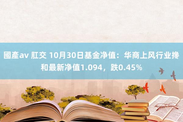 國產av 肛交 10月30日基金净值：华商上风行业搀和最新净值1.094，跌0.45%