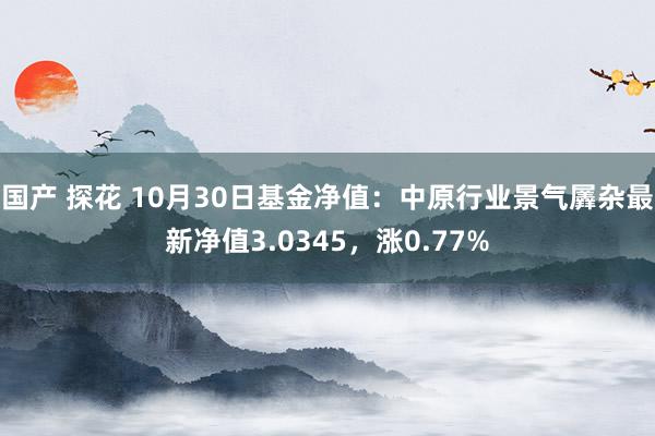 国产 探花 10月30日基金净值：中原行业景气羼杂最新净值3.0345，涨0.77%