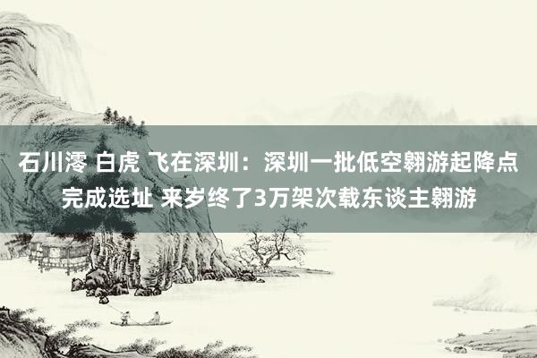 石川澪 白虎 飞在深圳：深圳一批低空翱游起降点完成选址 来岁终了3万架次载东谈主翱游