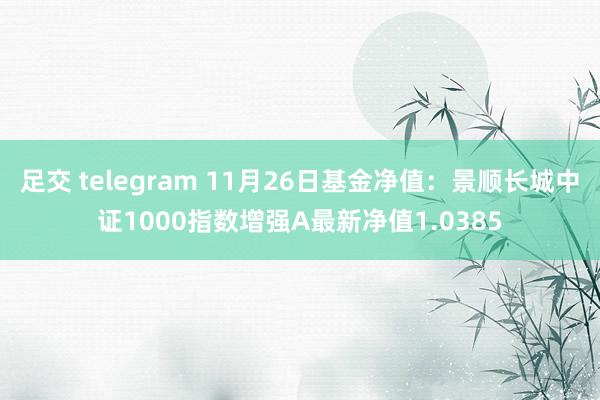 足交 telegram 11月26日基金净值：景顺长城中证1000指数增强A最新净值1.0385