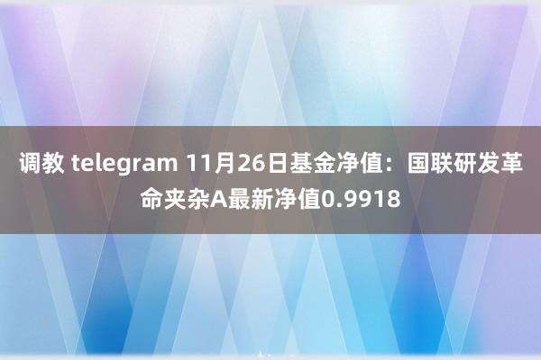 调教 telegram 11月26日基金净值：国联研发革命夹杂A最新净值0.9918