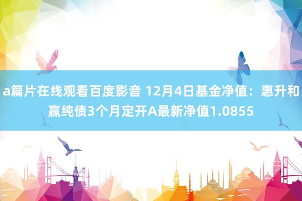 a篇片在线观看百度影音 12月4日基金净值：惠升和赢纯债3个月定开A最新净值1.0855