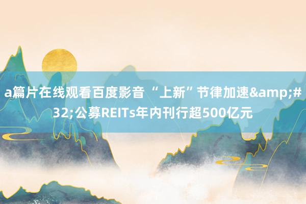 a篇片在线观看百度影音 “上新”节律加速&#32;公募REITs年内刊行超500亿元