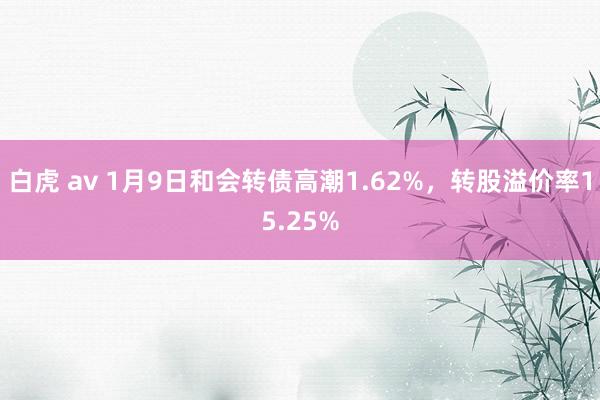 白虎 av 1月9日和会转债高潮1.62%，转股溢价率15.25%