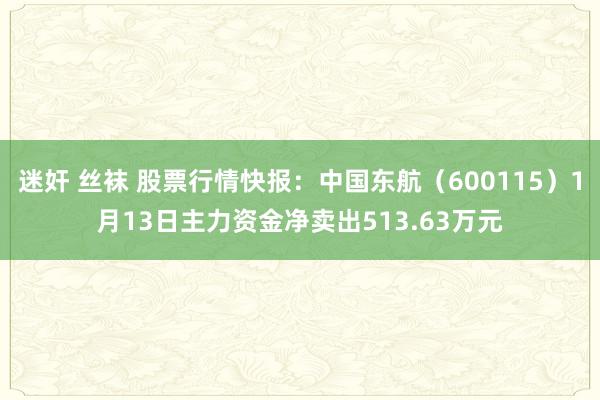 迷奸 丝袜 股票行情快报：中国东航（600115）1月13日主力资金净卖出513.63万元