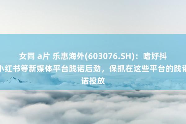 女同 a片 乐惠海外(603076.SH)：嗜好抖音、小红书等新媒体平台践诺后劲，保抓在这些平台的践诺投放