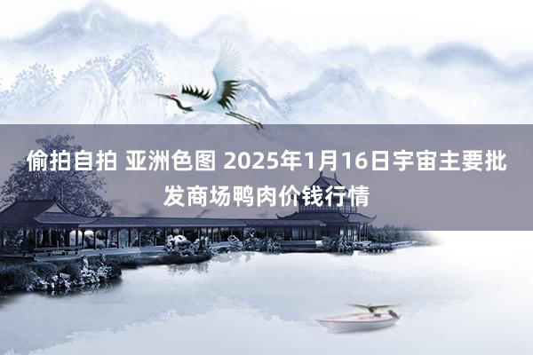 偷拍自拍 亚洲色图 2025年1月16日宇宙主要批发商场鸭肉价钱行情